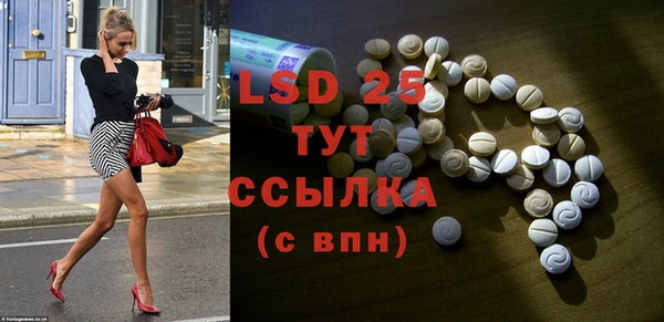 ПСИЛОЦИБИНОВЫЕ ГРИБЫ Вязники