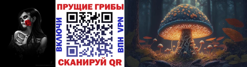 Псилоцибиновые грибы MAGIC MUSHROOMS  Купить закладки  Полысаево 
